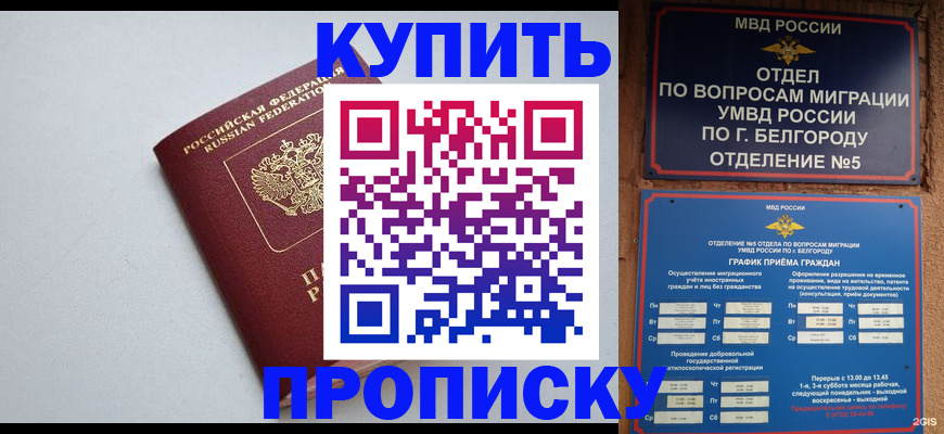 прописка регистрация в Брянской области